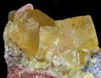 Lustrous, Yellow Cubic Fluorite Crystals - Morocco #44900-2